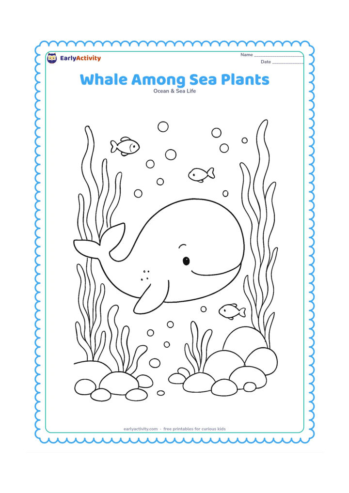 Colouring page: Show a whale swimming through an underwater area with tall sea plants, rounded rocks, bubbles, and a few small fish. Leave the whale body mostly open for free colouring.