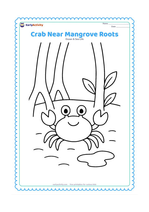 Colouring page: Show a crab on muddy ground between a few broad mangrove roots, with two simple leaves and a small puddle. The scene should suggest a warm Indian coastal mangrove without adding people…