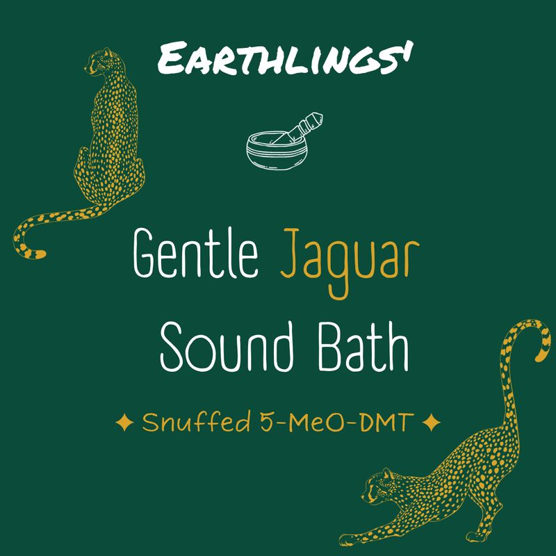 Gentle Jaguar Soundbath