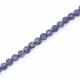 Iolite 4.50mm to 5mm Coin Shape Faceted Beads (14 Inch)
