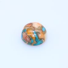 Oyster Copper Turquoise Round Cabochon