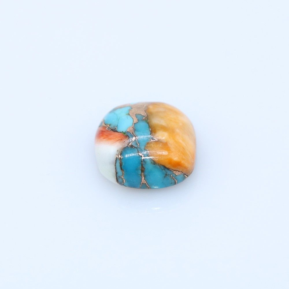 Oyster Copper Turquoise Gemstone or Composite Gemstone | My Earth