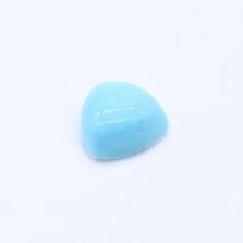 Turquoise (Mexican) Trillion Cabochon