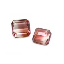 Bi-Color Tourmaline 12x11.50mm and 13.50x9mm Octagon Faceted