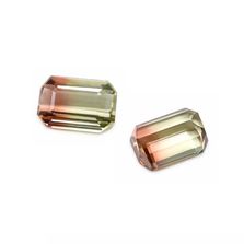 Bi-Color Tourmaline 13.50x9mm Octagon Faceted