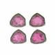 Watermelon Tourmaline 22.50x20mm Slice Pair