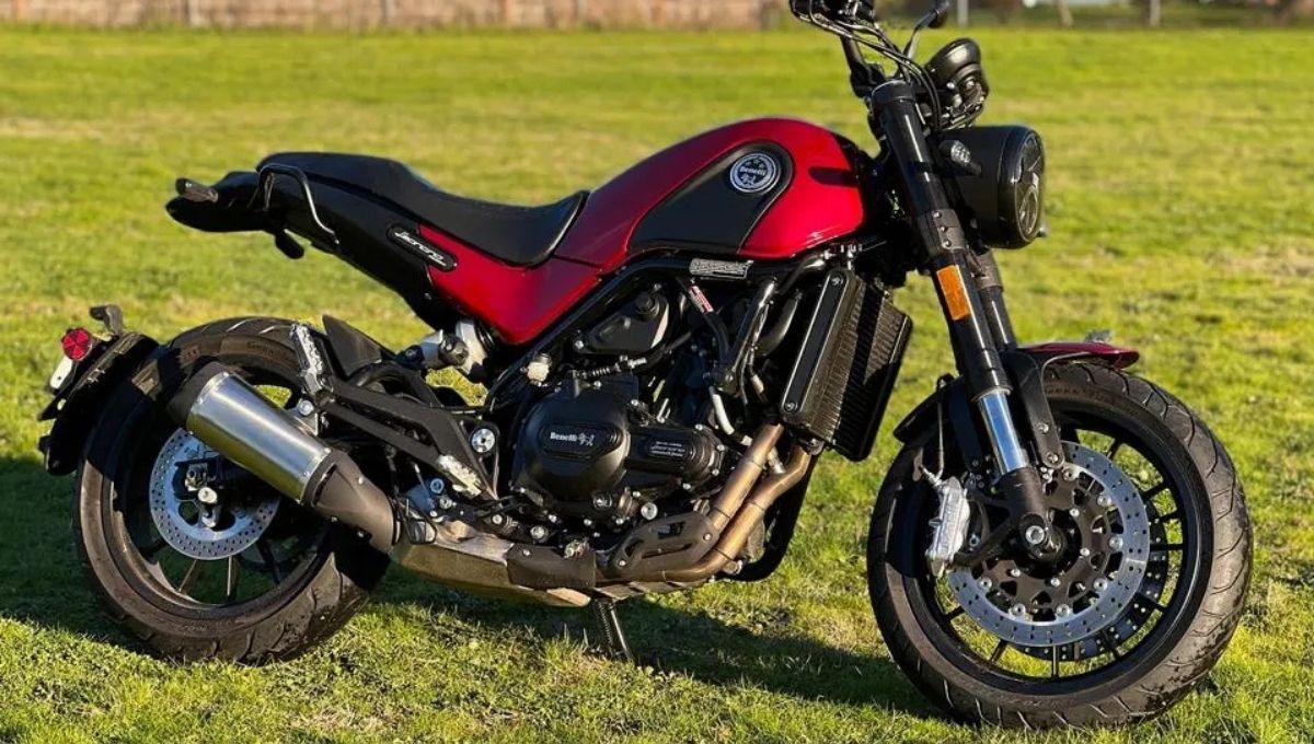 Benelli Leoncino 500