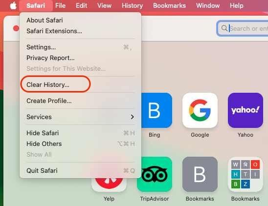 Clear history option in Safari