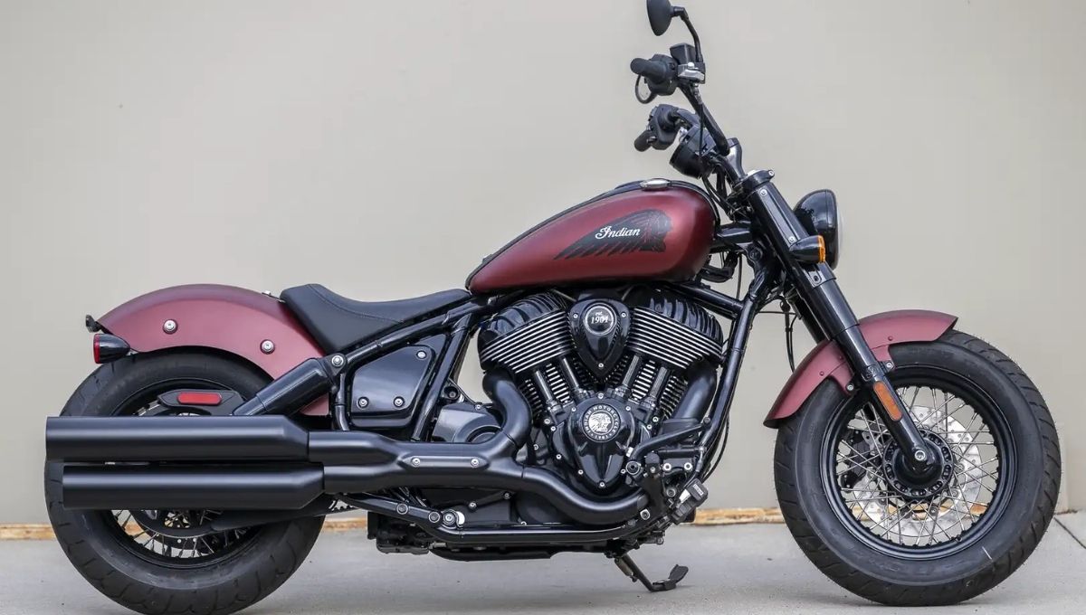 Indian Chief Dark Horse