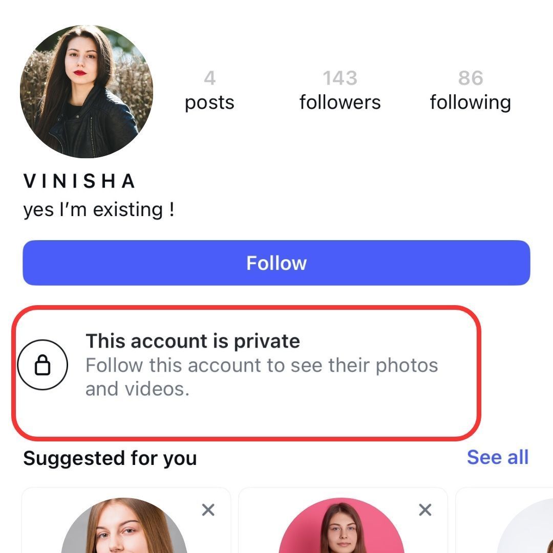 Instagram Private Profile