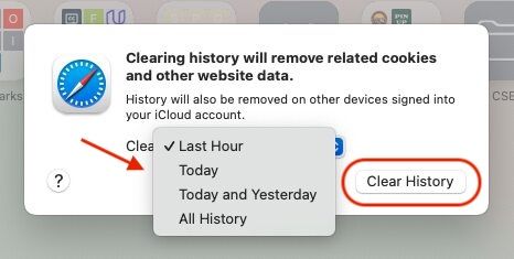 Steps to Clear History in Safari