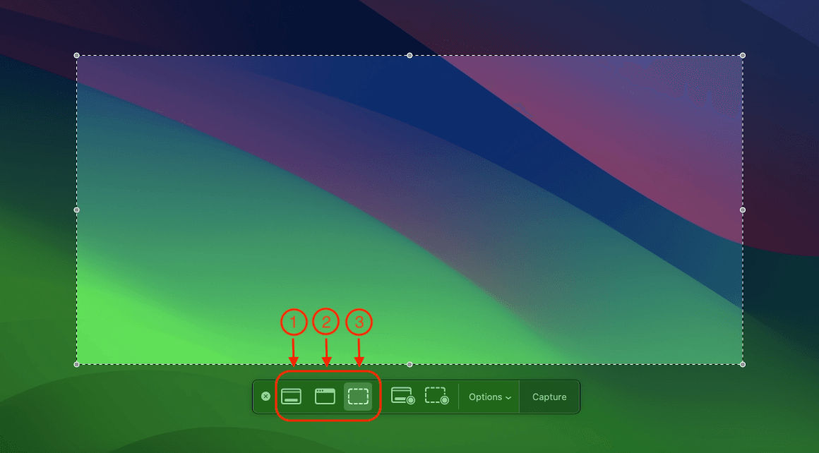 Screen Capture in build tool on Mac