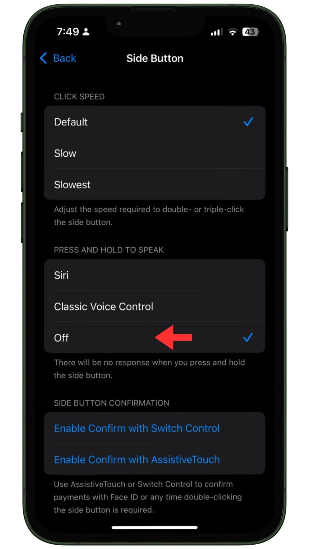 iOS disable voice control setting