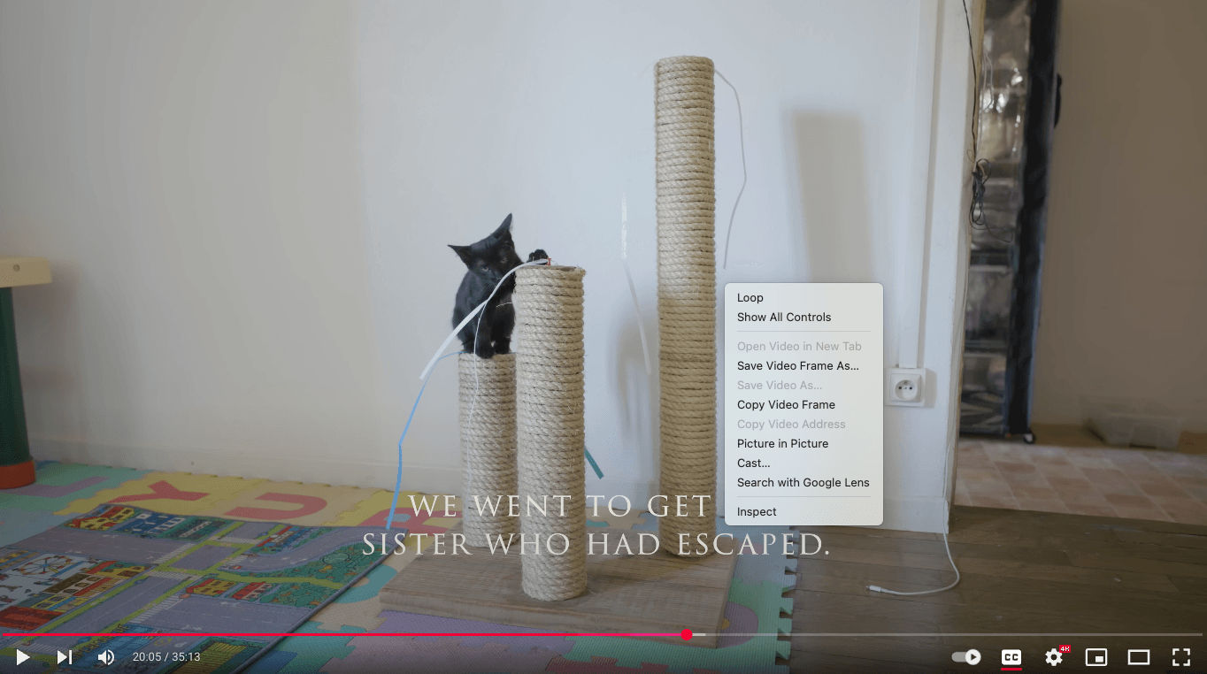screenshot video frame