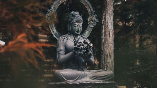 Gautham Budda idol