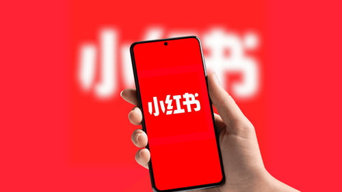 Rednote app Tiktok alternative while US is planneing to ban Tiktok