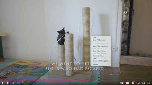screenshot video frame