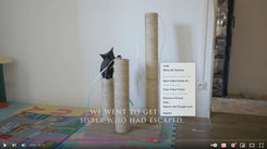 screenshot video frame