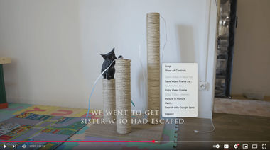 screenshot video frame