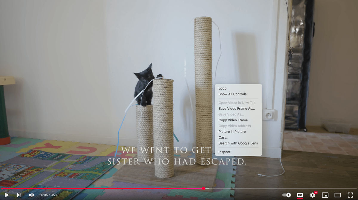 screenshot video frame