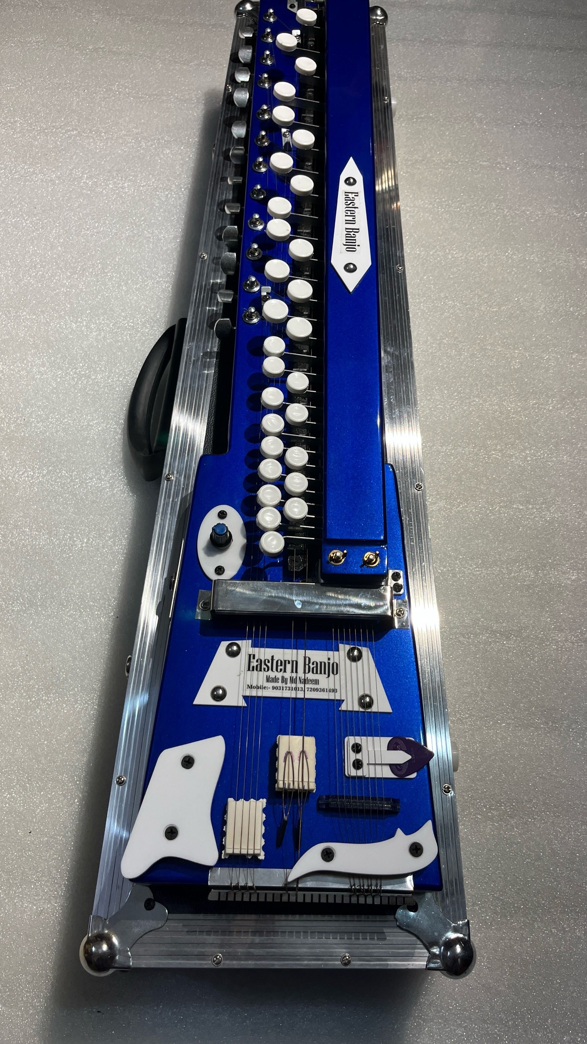 14 Strings Royal Blue Swarmandal Banjo With Hard Case