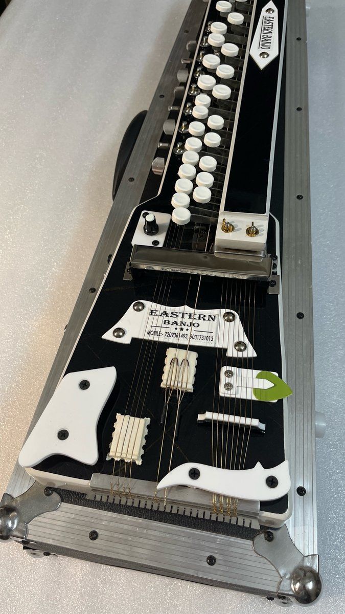 14 Strings Black & White Swarmandal Banjo With Hard Case