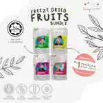 Hanya Freeze Dried Fruit Apple Chips