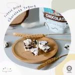 Hanya Freeze Dried Yogurt Bites Chocolate