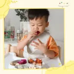 Hanya Freeze Dried Fruit Apple Chips