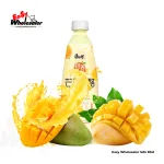 Master Kang Shi Fu Mango Yogurt 500ml 3