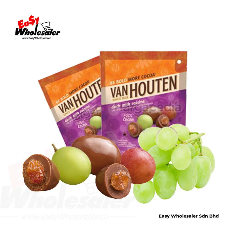 Van Houten Dark Milk Raisins 40g 2