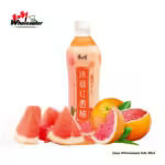Master Kang Shi Fu Grape Fruit 500ml