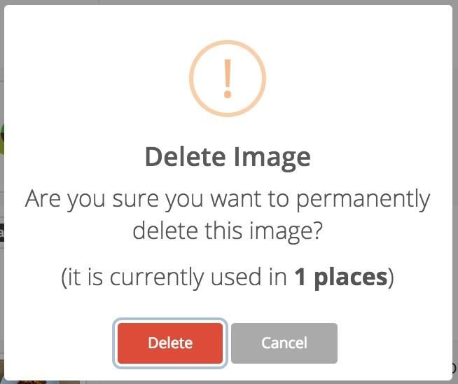 Delete confirmation with an in-use image