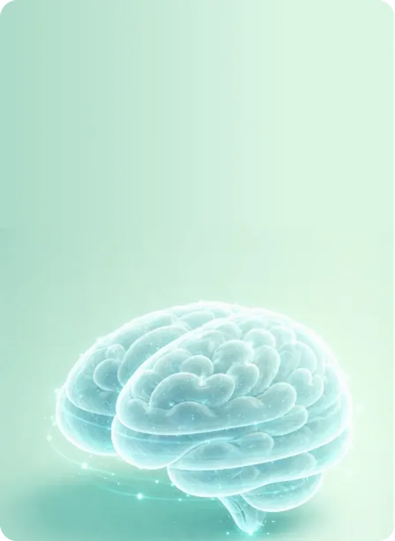 Brain