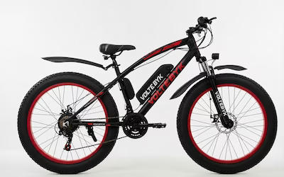 Electric Cycles