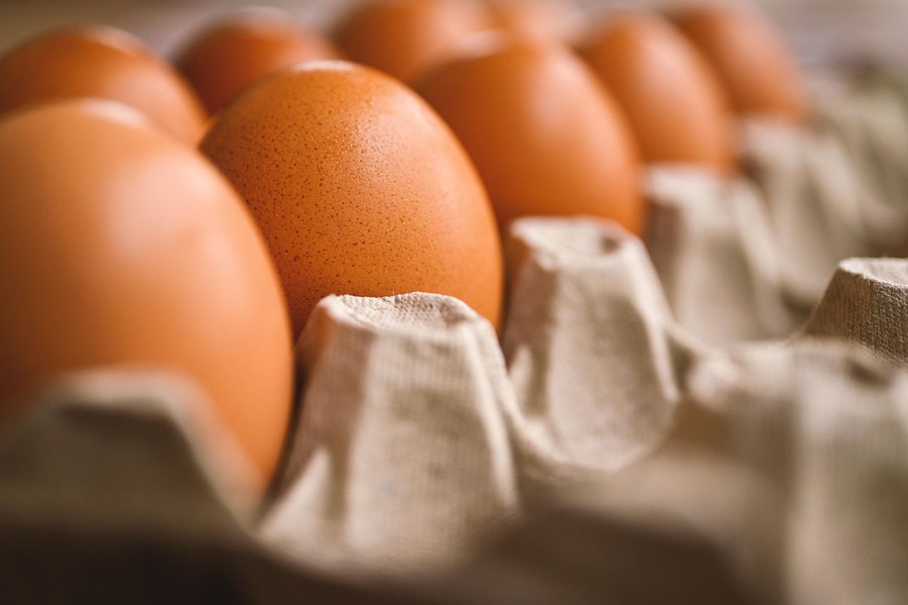 EGGS