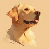 characterProfile