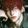 tag avatar