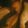 tag avatar