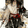 tag avatar
