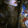 tag avatar