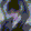 tag avatar