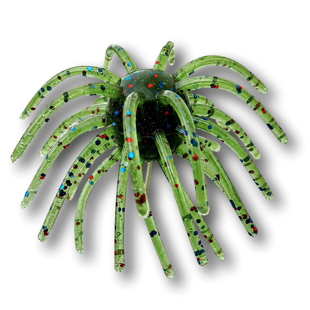 Bluegill Bluegill Urchin bait color