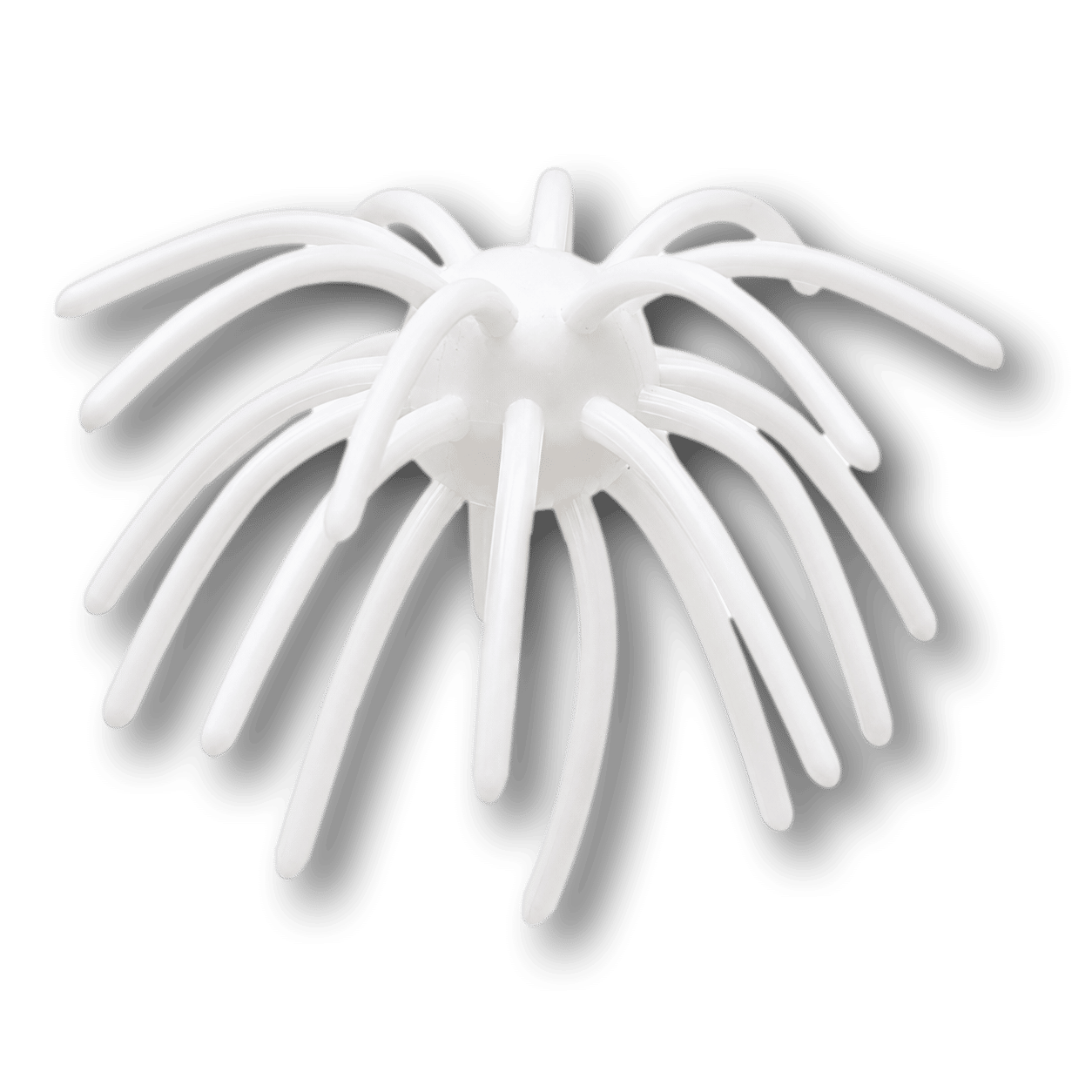 Bone White Bone White Urchin bait color
