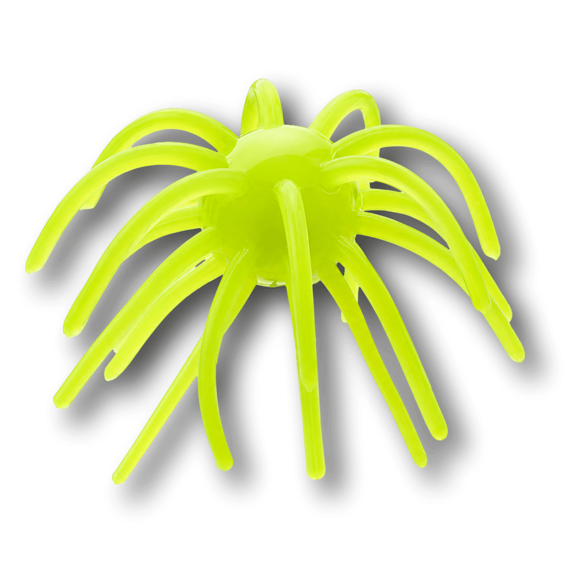 Chartreuse Chartreuse Urchin bait color