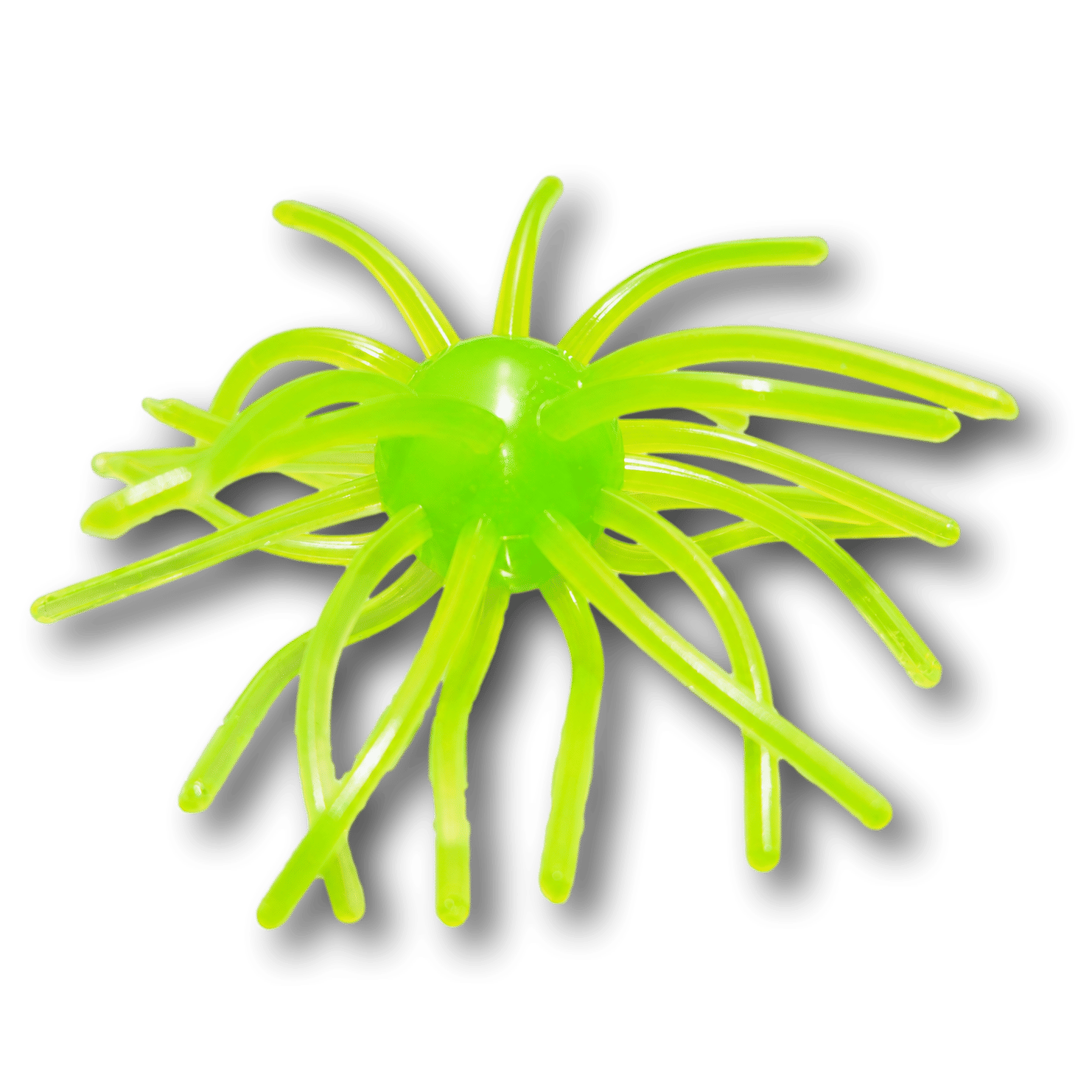 Neo Lime Neo Lime Urchin bait color