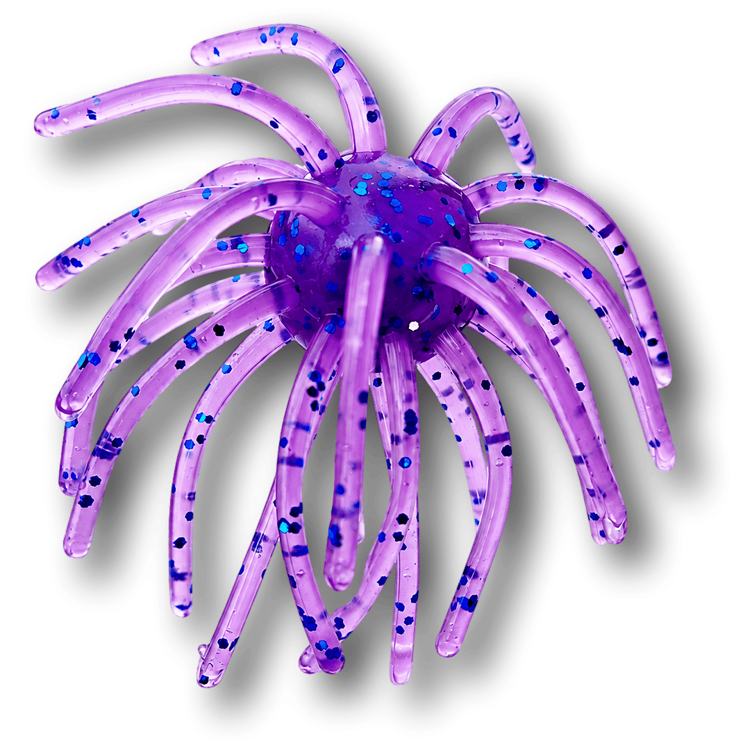 Royal Royal Urchin bait color