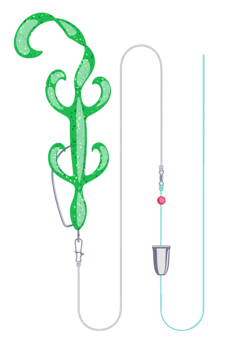 Carolina Rig diagram