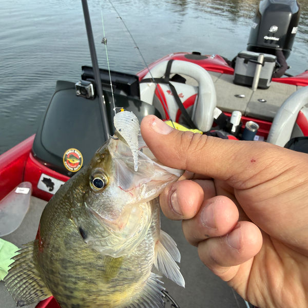 Table Rock Custom Baits on the water
