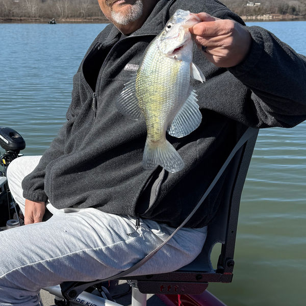Custom soft plastic bait testing